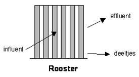 rooster.JPG